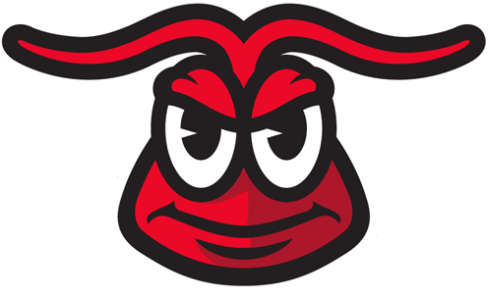 Hickory Crawdads 2016-Pres Alternate Logo 4 vinyl decal